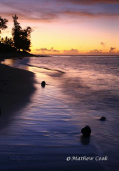 "Waialua Coconut Sunset". Photo taken on Oahu, Hawaii's N... by Mathew Cook 